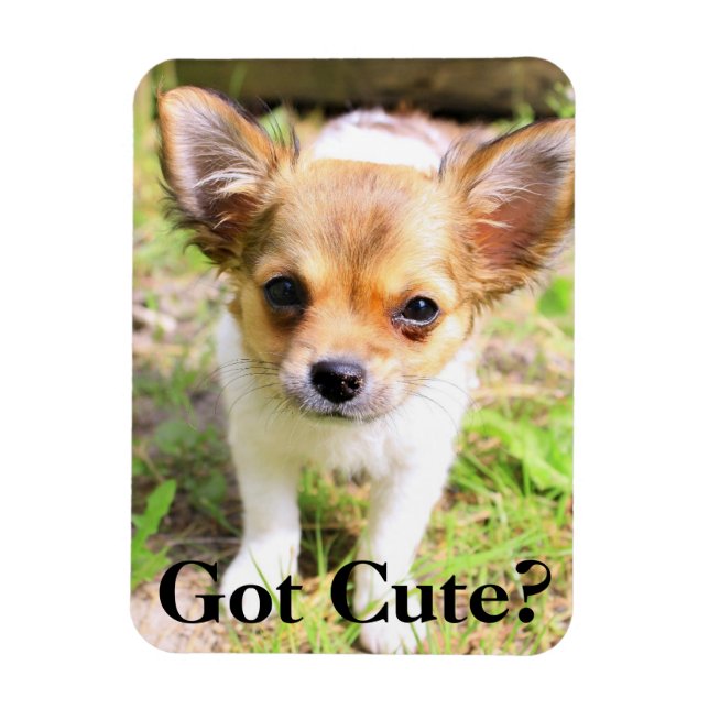 Íman Ficou bonito? Puppy (Vertical)