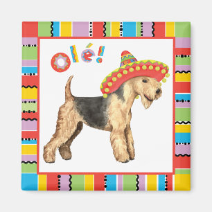 Íman Fiesta Lakeland Terrier