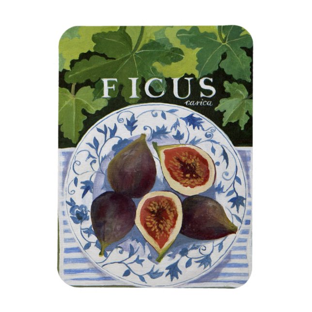 Íman Fieus (Vertical)