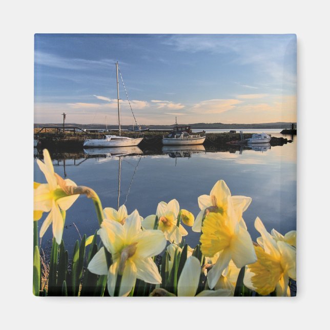 Íman Fife, fotografia cênica da Escócia (Frente)