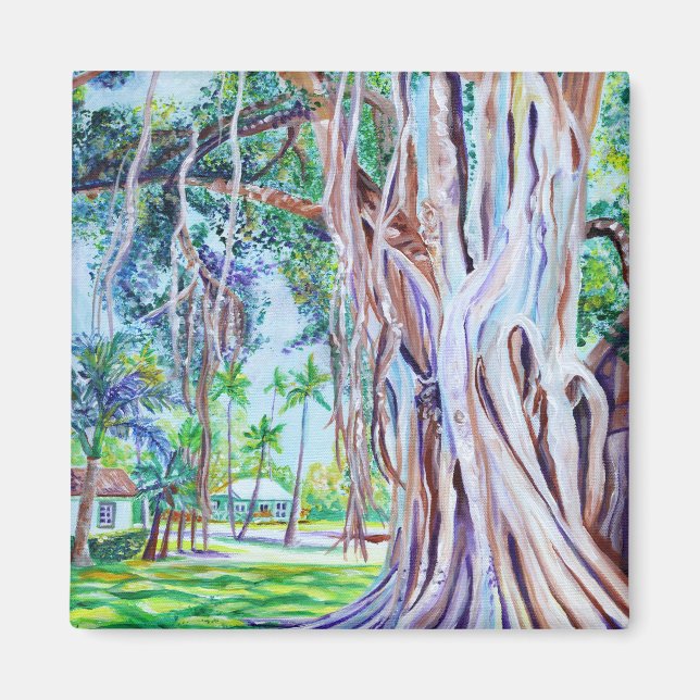 Íman Figueira-de-bengala em Waimea Plantation Cottages  (Frente)