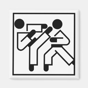 Íman Figuras das artes marciais