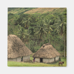 Íman Fiji, Viti Levu, Navala, casas tradicionais Bure