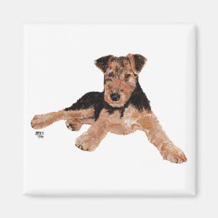 Íman Filhote de Airedale, Lakeland, Welsh Terrier