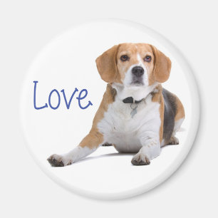 Íman Filhote de Beagle - Amo Beagles