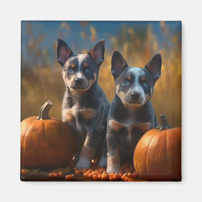 Íman Filhote de Blue Heeler Outono Delícia Abóbora (Frente)