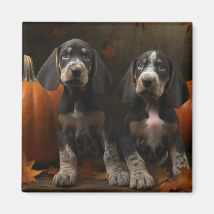 Íman Filhote de Bluetick Coonhound Delícia de Outono Ab