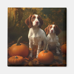 Íman Filhote de Brittany Spaniel Delícia de Outono Abób