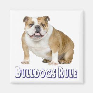 Íman Filhote de Bulldogue Inglês Amor Cachorro