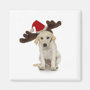 Íman Filhote de cachorro com papai noel chapéu e