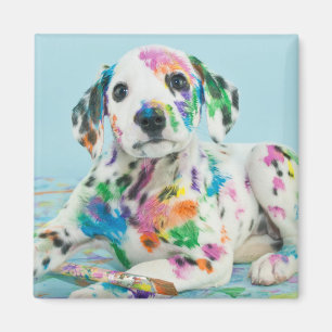 Íman Filhote de cachorro Dalmatian