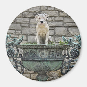 Íman Filhote de cachorro de Dogo Argentino real