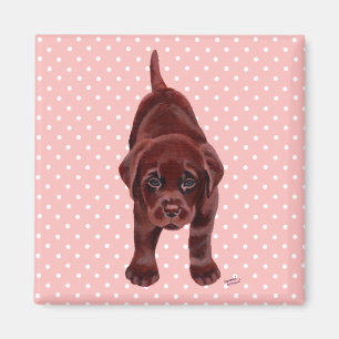 Íman Filhote de cachorro de Labrador do chocolate