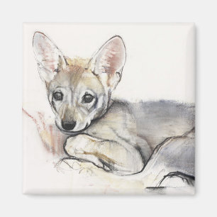 Íman Filhote de cachorro de lobo árabe ondulado 2009