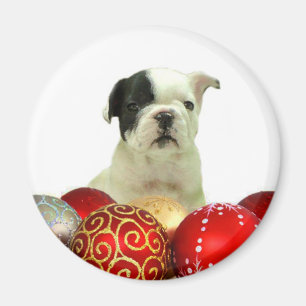 Íman Filhote de cachorro do buldogue francês do Natal