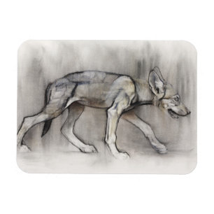 Íman Filhote de cachorro magro