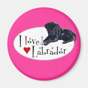 Íman Filhote de cachorro preto de Labrador