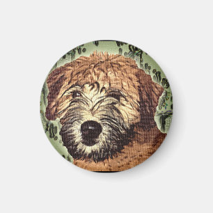 Íman Filhote de cachorro Wheaten Macio-Revestido de
