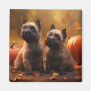 Íman Filhote de Cairn Terrier Delícia de Outono Abóbora