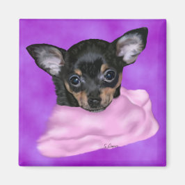 Íman Filhote de Chihuahua Preto e Castanho
