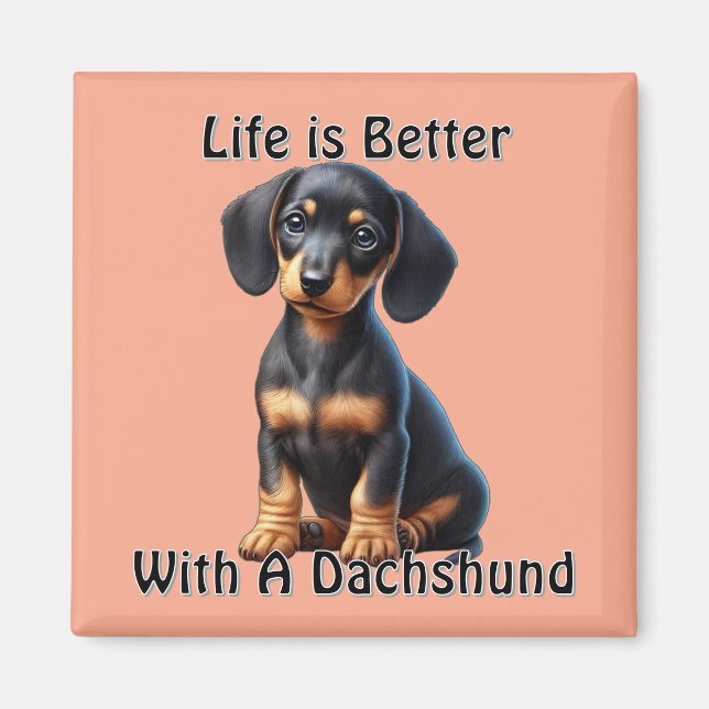 Íman Filhote de Dachshund Sentado e Olhando com Inocênc (Frente)