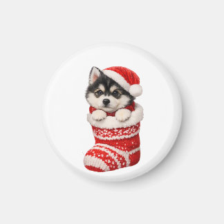 Íman Filhote de Husky de Natal