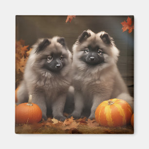Íman Filhote de Keeshond Delícia de Outono Abóbora