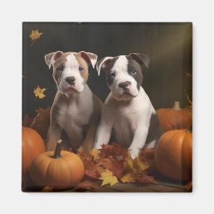 Íman Filhote de Staffordshire Americano Autumn Delight