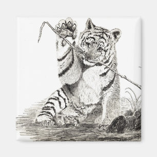 Íman Filhote de tigre que joga o ímã