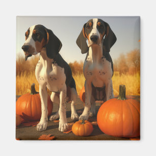 Íman Filhote de Treeing Walker Coonhound Abóbora de Out