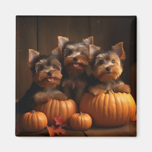 Íman Filhote de Yorkshire Terrier Delícia de Outono Abó