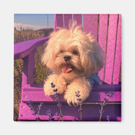 Íman Filhote Feliz de Shih Tzu Relaxando (Dias de Cacho