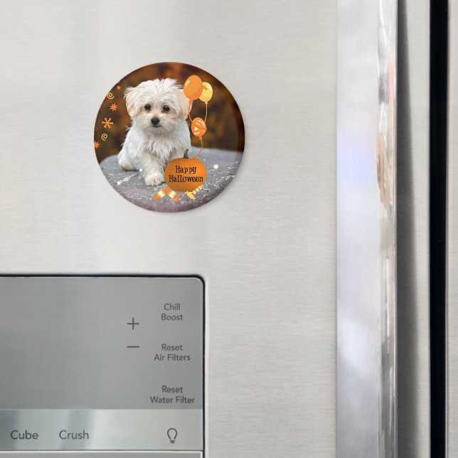 Íman Filhote Fofo de Maltês Celebra Halloween  (In Situ (Fridge))