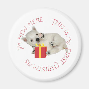 Íman Filhote Westie Primeiro Natal