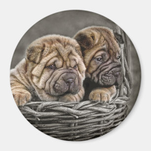 Íman Filhotes de cachorro de Shar-Pei no ímã da cesta
