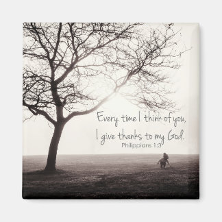 Íman filipístas 1:3 imã