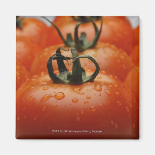 Íman Fim-acima dos tomates 2