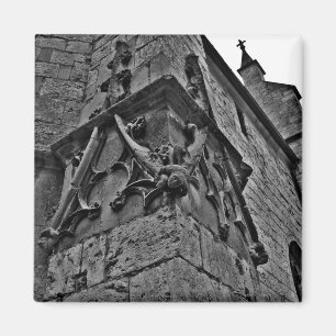 Íman Fim gótico do bobo da corte da corte da catedral