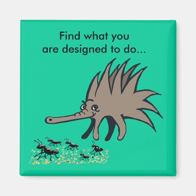 Íman Finalidade na vida (Frente)