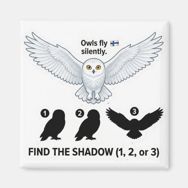 Íman Find the Shadow – Snowy Owl Learning Magnet (Frente)