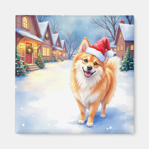 Íman Finnish Lapphund Aldeia Nevada Chapéu de Papai Noe