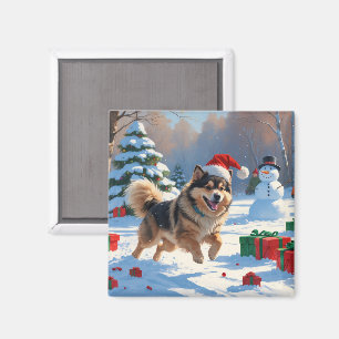 Íman Finnish Lapphund Correndo na Neve com Chapéu de Na