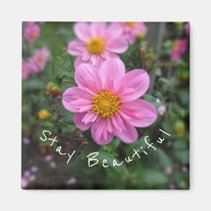 Íman Fique Bela, Rosa Dahlia