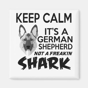 Íman Fique calmo É um German shepherd não um maluco S