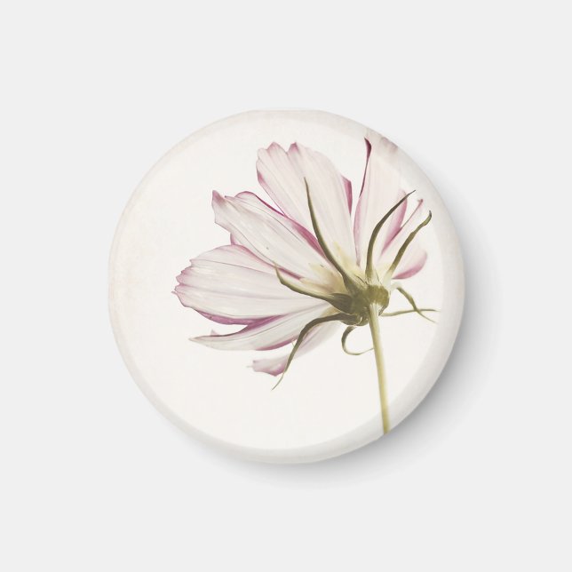 Íman "Fique na Luz" (Frente)