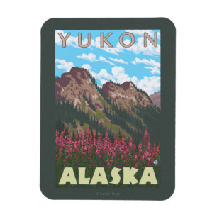 Íman Fireweed & montanhas - Yukon, Alaska