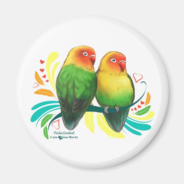 Íman Fischer Lovebird (Frente)