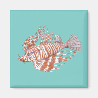 Íman Fish Manchu Magnet