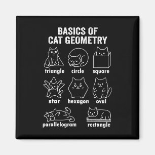 Íman Física Divertida Da Geometria Do Gato De Volta à M
