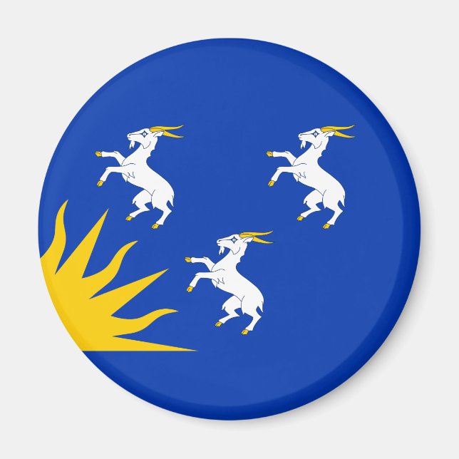 Íman Flag of Merionethshire Magnet (Frente)